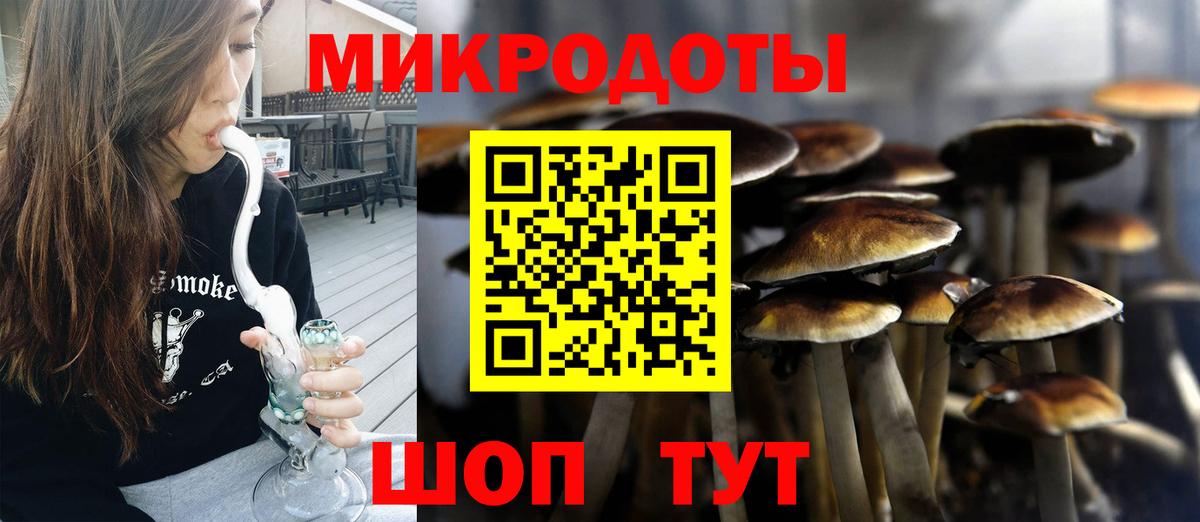 Псилоцибиновые грибы Cubensis  Вход с VPN  Ялуторовск  Псилоцибиновые грибы мицелий 